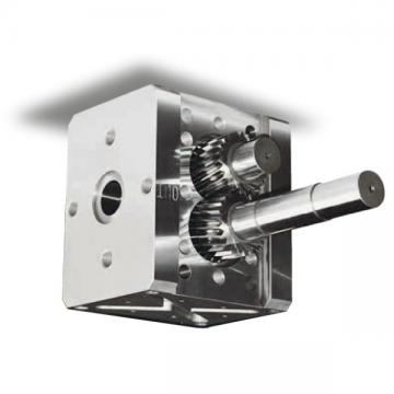 Prospetto/Tecnico Info Bosch Pompe a Ingranaggi Struttura S, Dimensioni F Di 01