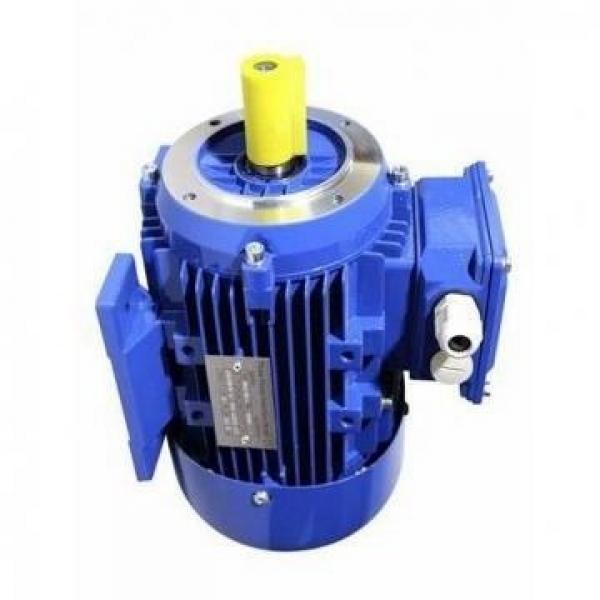 JCB 520-2 520-4 520-50 520-55 525-2 TELEHANDLER pompa dell'olio di trasmissione idraulica